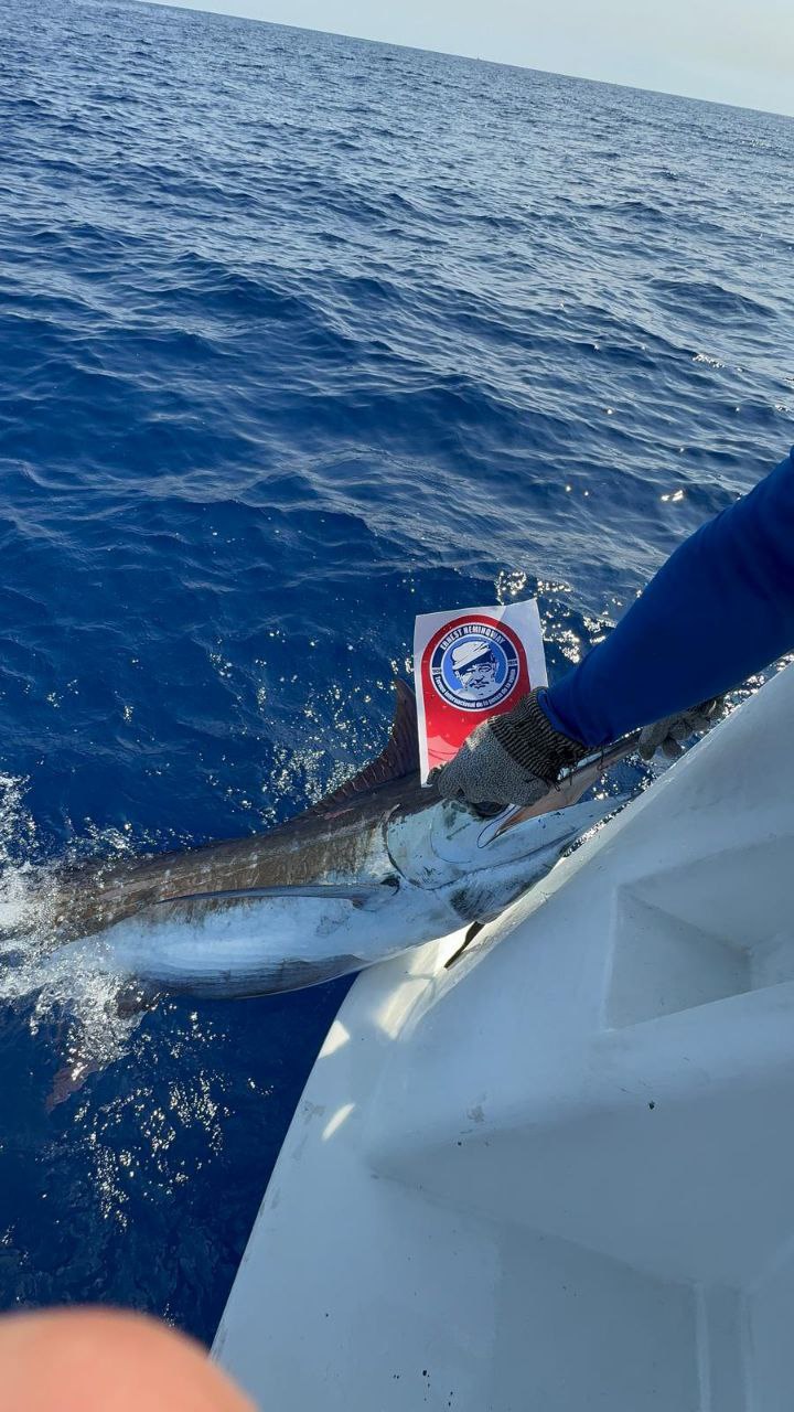 Última jornada de pesca a lo Ernest Hemingway